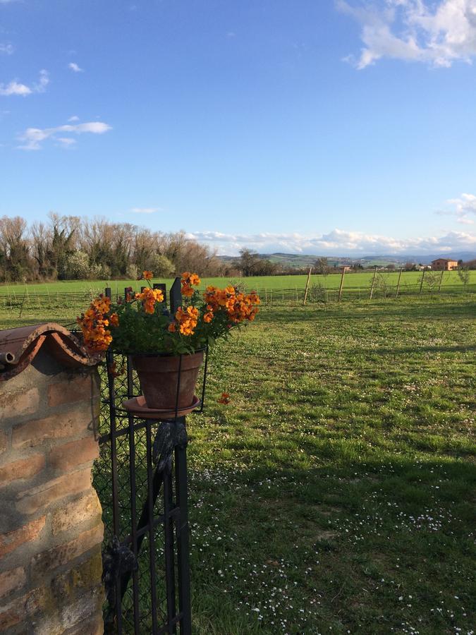 Agriturismo Il Pettirosso Vendégház Forlì Kültér fotó